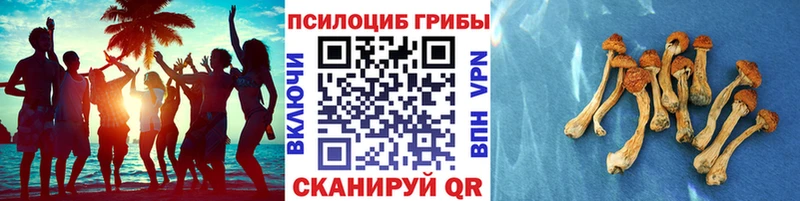 Галлюциногенные грибы GOLDEN TEACHER  что такое   Кизел 